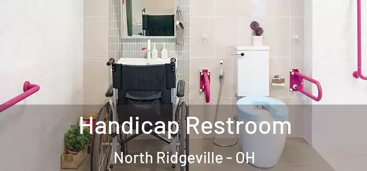Handicap Restroom North Ridgeville - OH