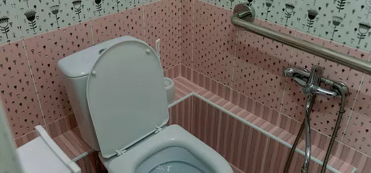 Meeting Diverse Needs With Accessible Restroom Solutions in North Ridgeville, OH