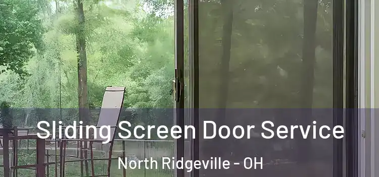 Sliding Screen Door Service North Ridgeville - OH