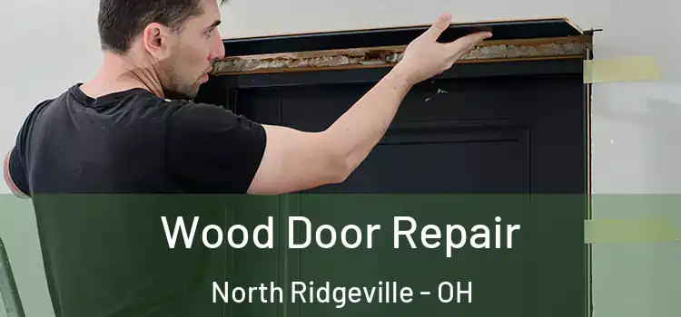 Wood Door Repair North Ridgeville - OH